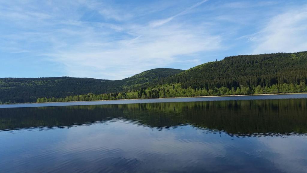 Ferienhaus Haber Schluchsee Luaran gambar